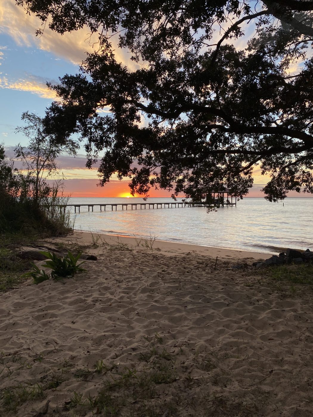 A Perfect Weekend in Fairhope, AL: 2026 Itinerary