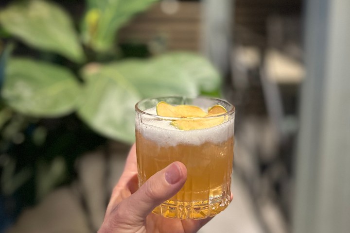 Hand holding a cocktail with foam and lemon garnish, green plant in background.